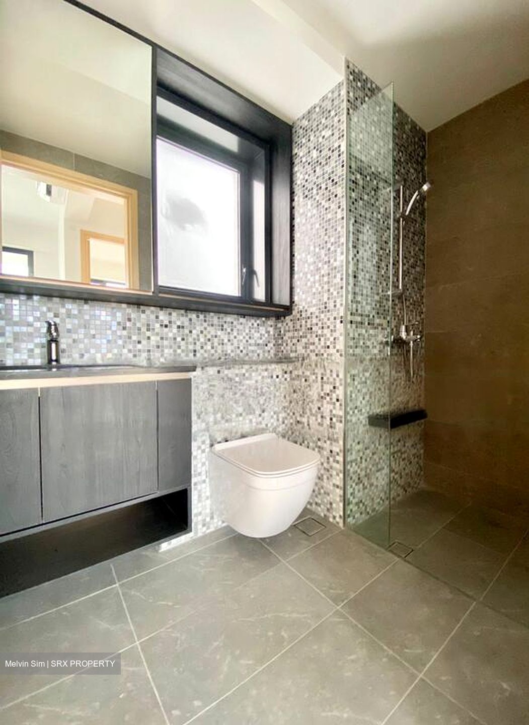 The Antares (D14), Apartment #531782171